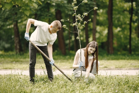 The Benefits of Landscaping