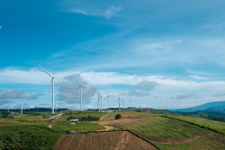 Which is a Sustainable Practice? Operating Wind Farms Clear Cutting Flood Irrigation Overfishing