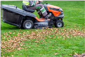 Yard Worker